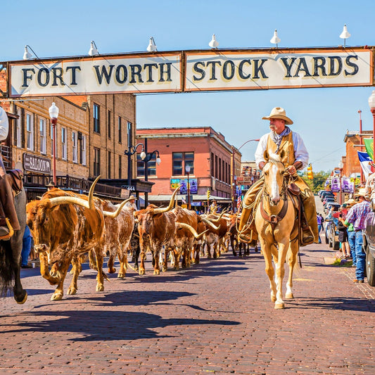 Ft. Worth Journey Bag (WITHOUT IRON) | Stockyards Bag (BMI > 45kg/m2)