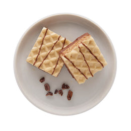 Protein Wafers